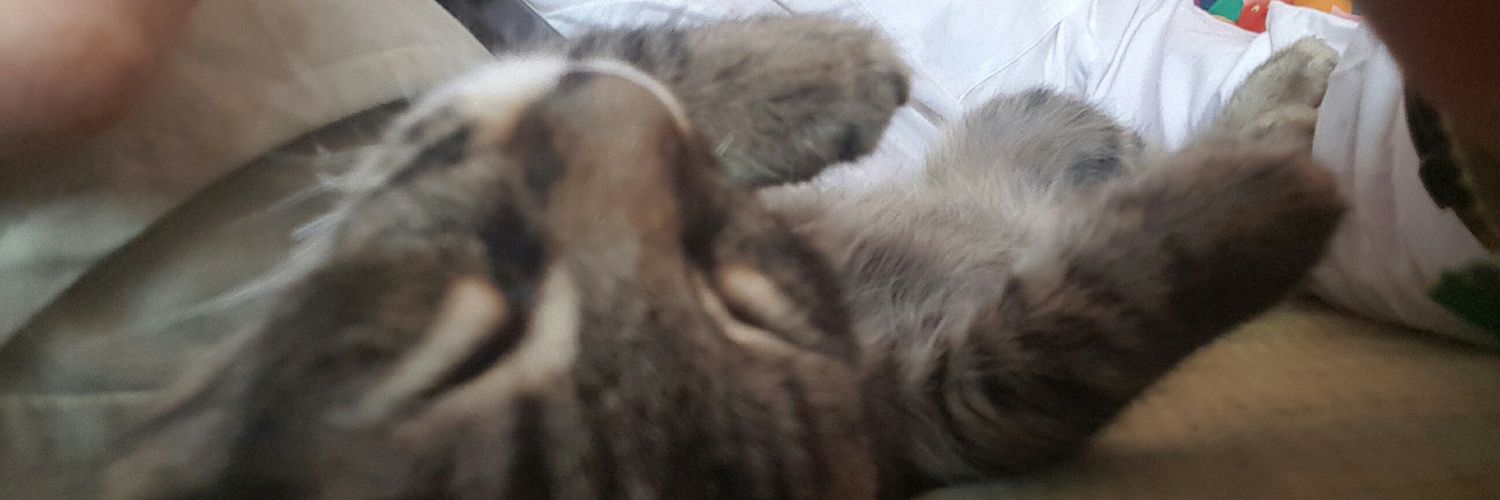 mpawezr's profile banner image
