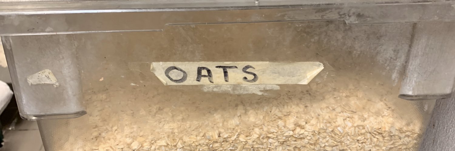 sad oat's banner
