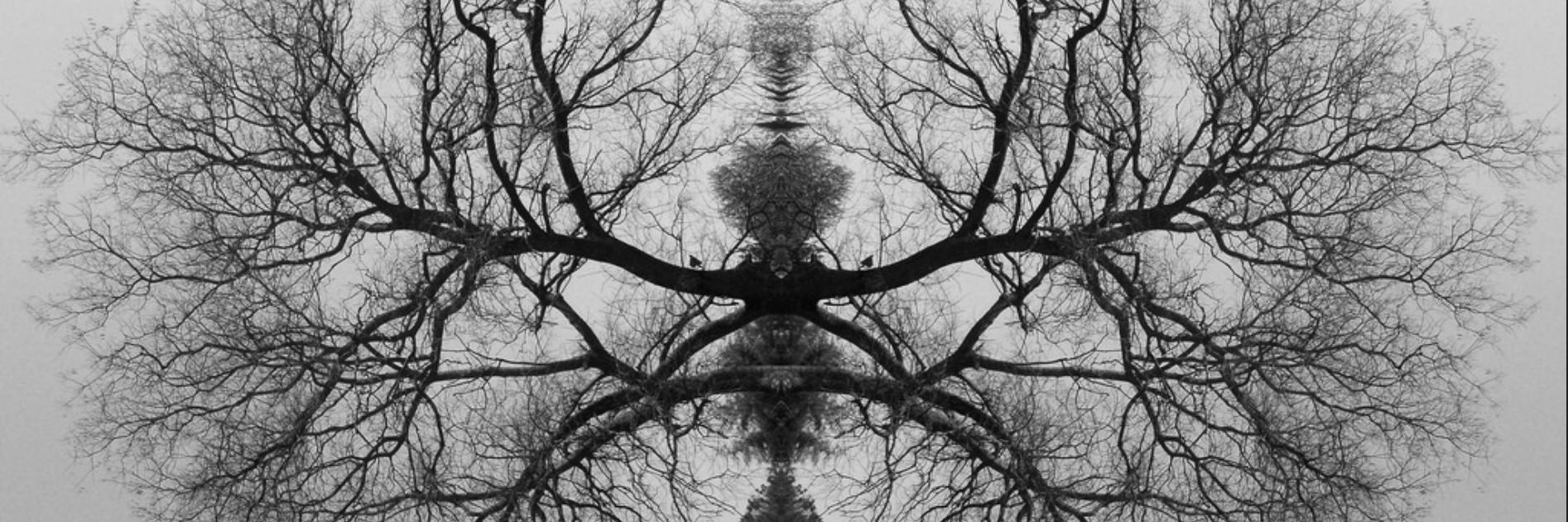 David Abelson banner