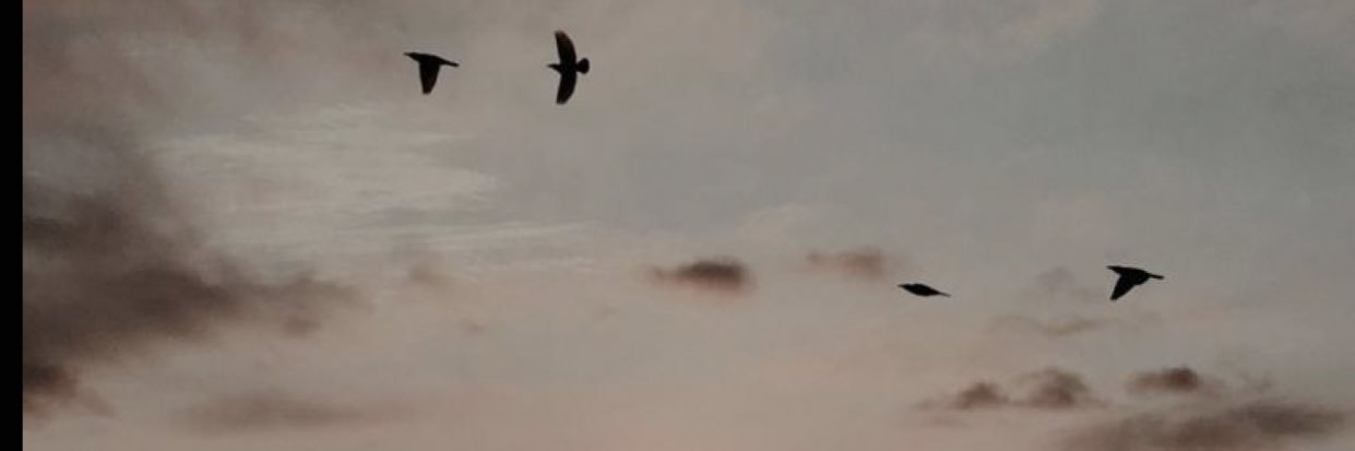 h__00357's profile banner image
