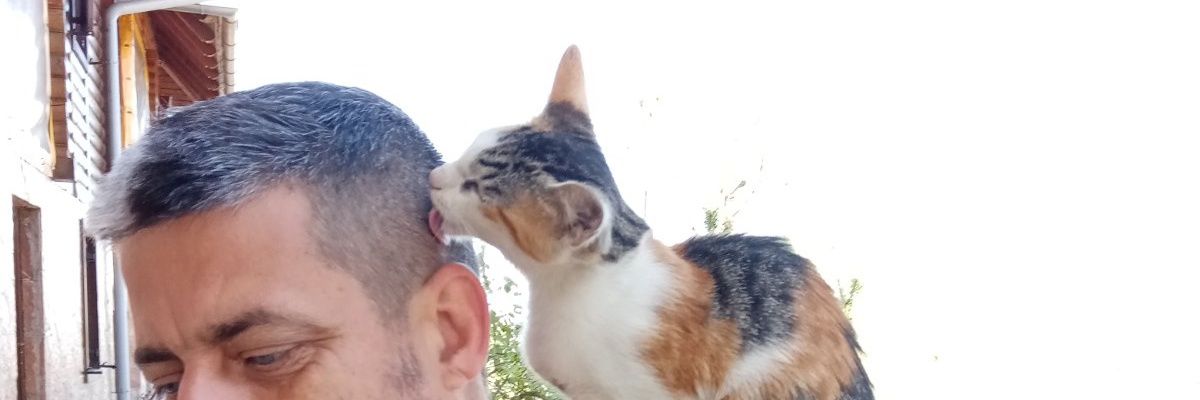 srkikostic's profile banner image