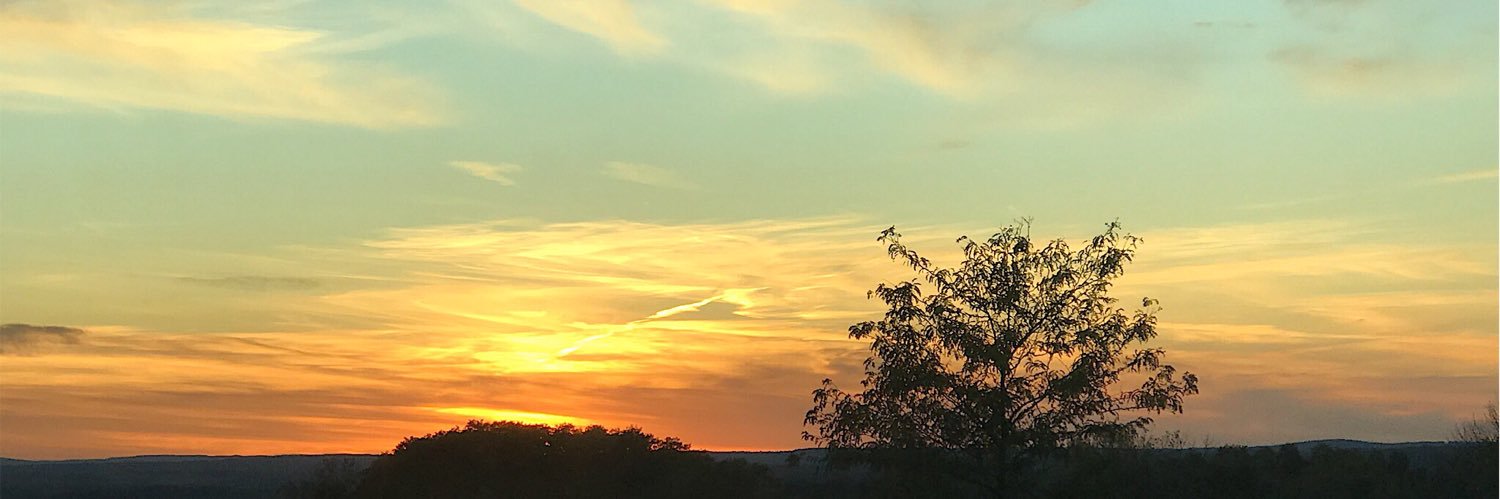abbey_rxse's profile banner image