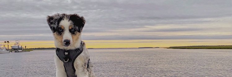 ChelseaSchroe14's profile banner image