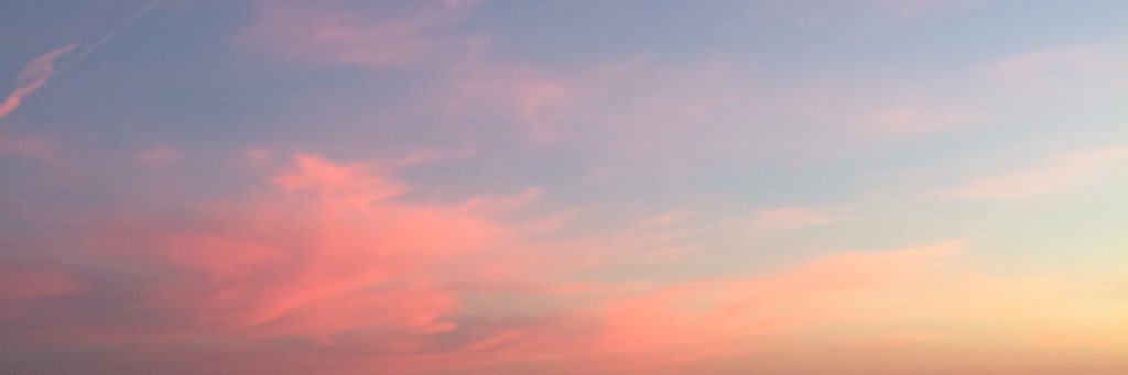 delaneyq14's profile banner image