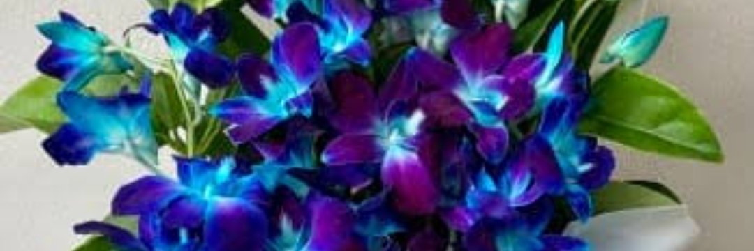 uDdIpAn_'s profile banner image