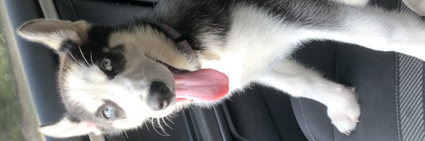 jadereimoo Profile Banner