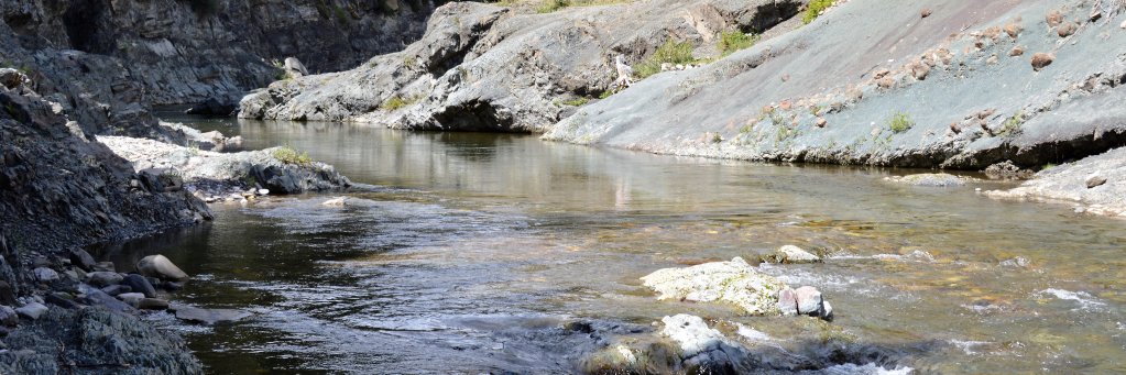 Alberta's Jack Burton banner