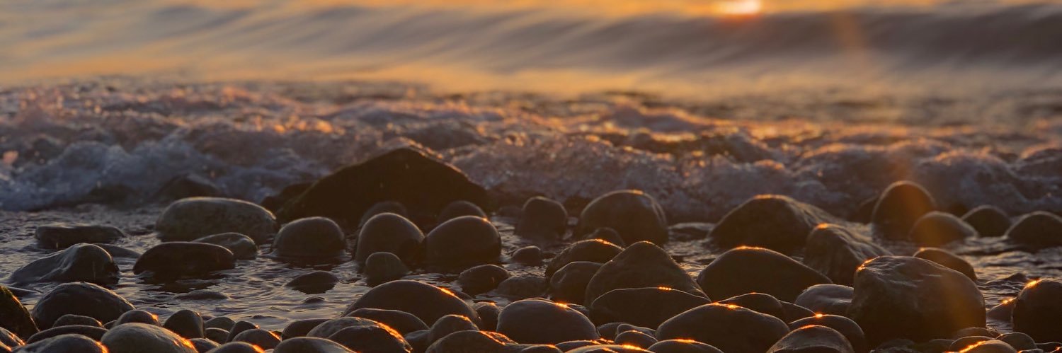 RyanTruong5's profile banner image