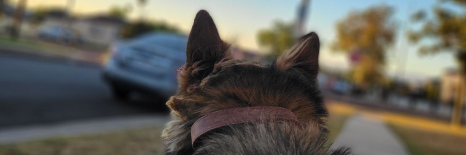 avenuechyld's profile banner image