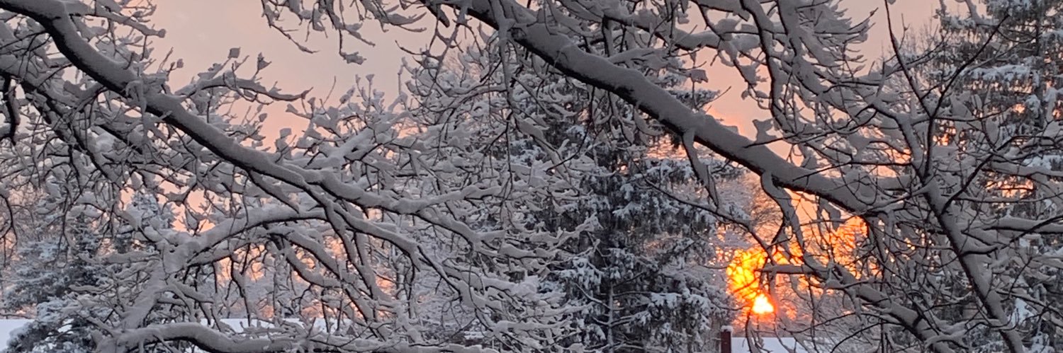 marianne mann🌊🌼🙏🏻🌼🌈🌊 banner