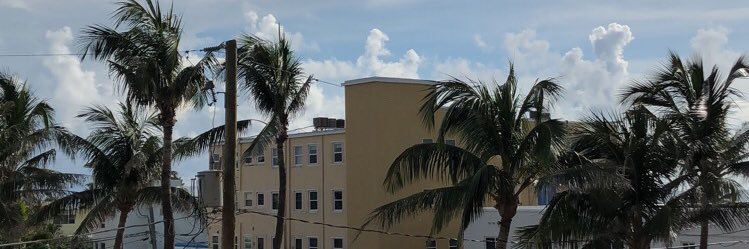 eltonbello banner