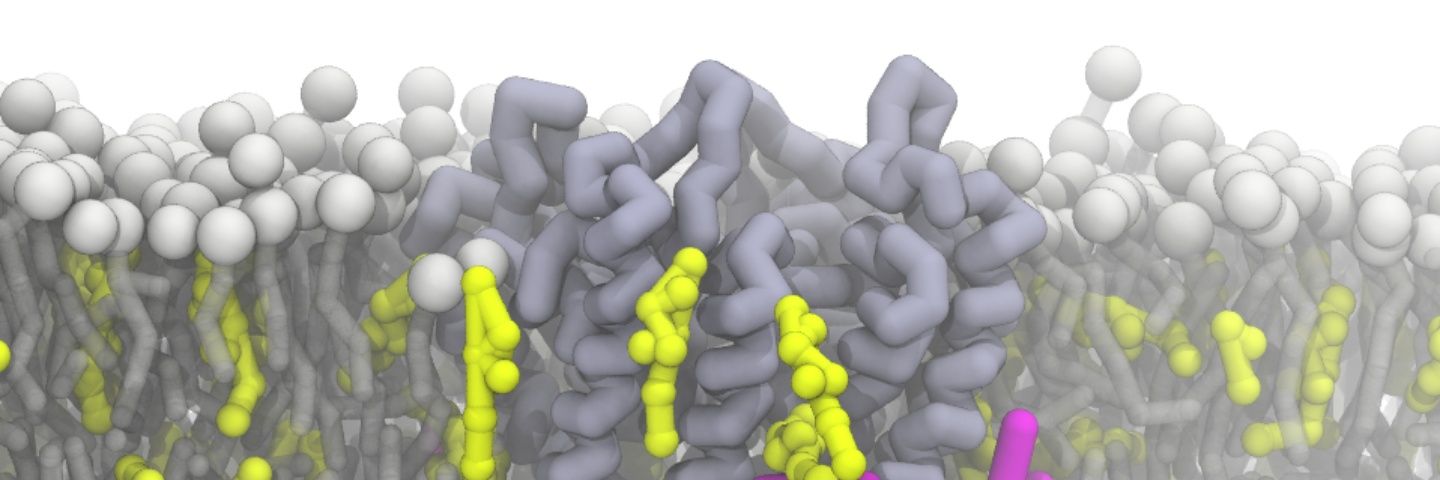 Nicolas Barbera banner