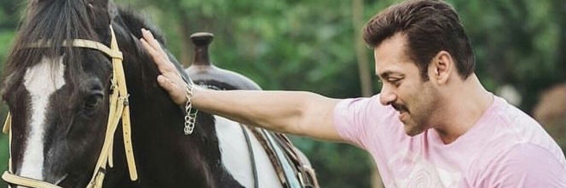 arjunjoshi600's profile banner image