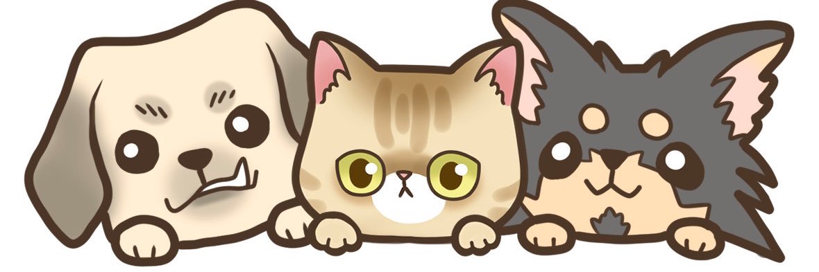 服部彩香🐶🐶🐱 banner