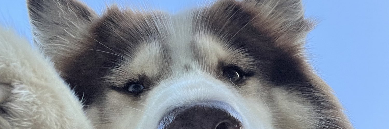 JavierCorrea25's profile banner image