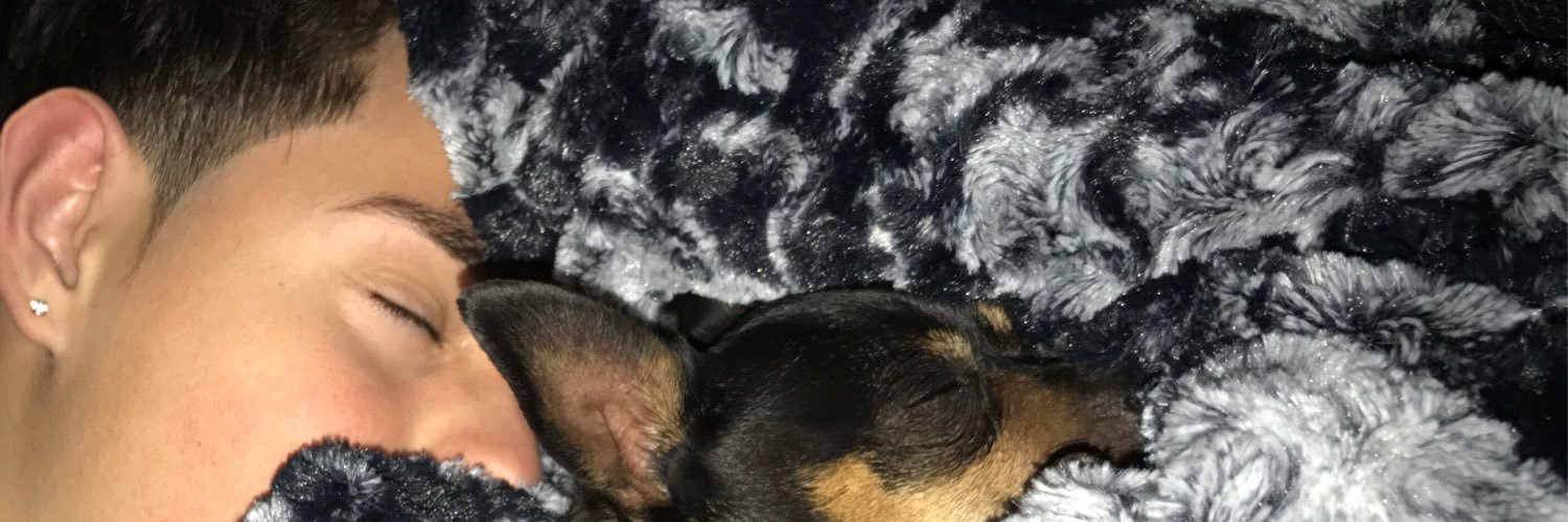 misamonet's profile banner image