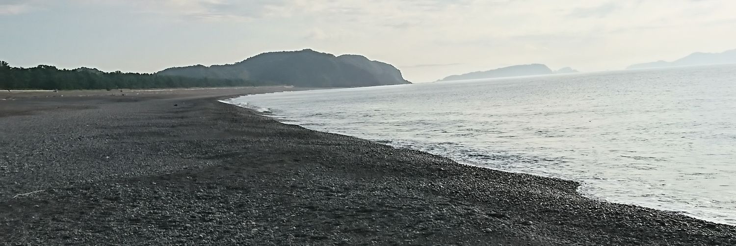 shigefla's profile banner image