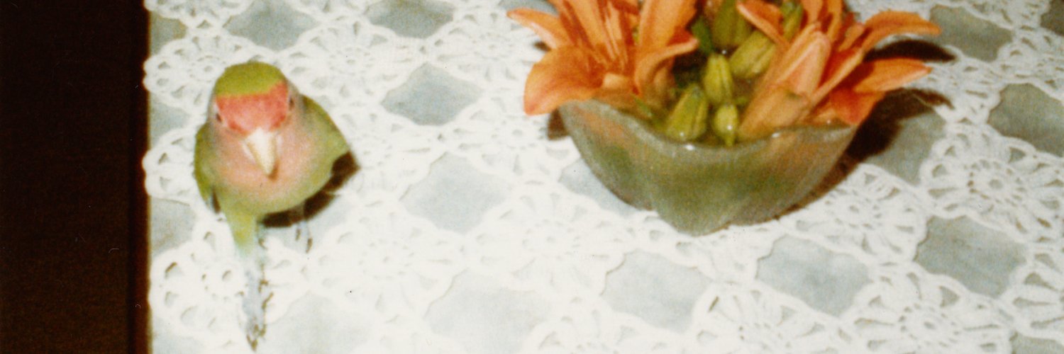 JulianMints's profile banner image