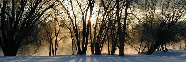 LOAAAttraction Profile Banner