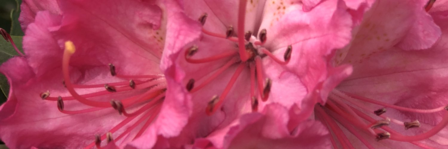 sheine_07's profile banner image