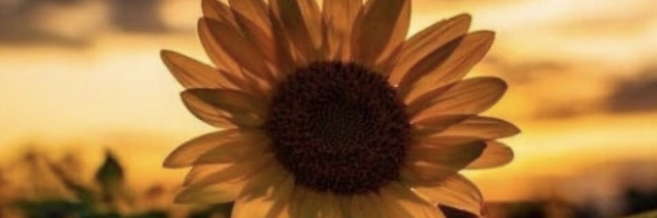 Mary_CL53's profile banner image