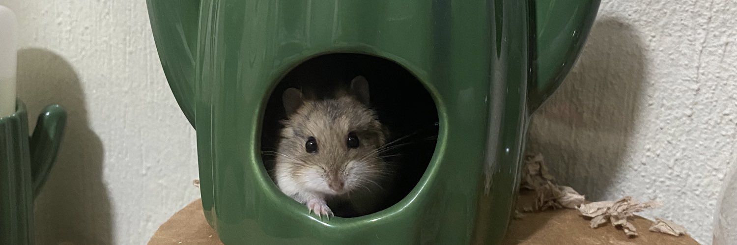 chMaruu's profile banner image