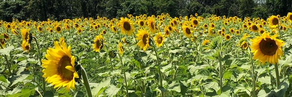 RebKMoore Profile Banner