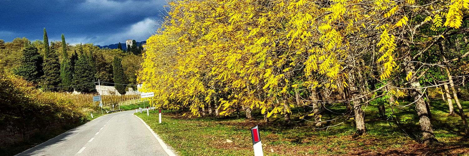 ryyazicioglu's profile banner image