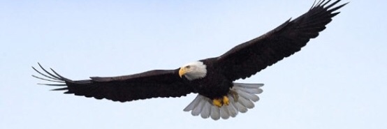 Kadi Princess Sleeman banner