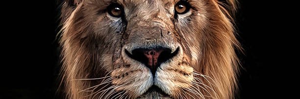 JofLion's profile banner image