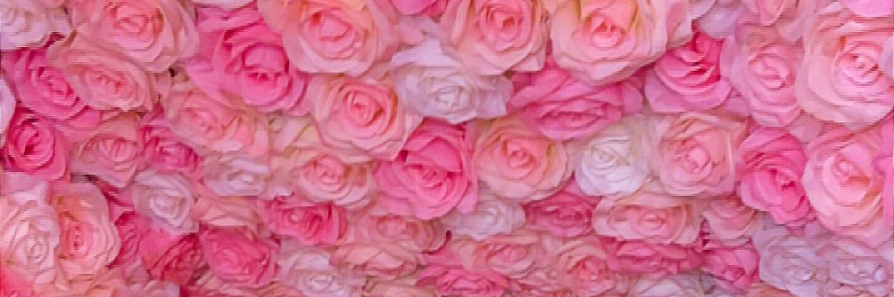 LongLiveMeesh's profile banner image