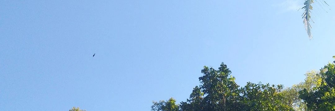 yankeettt's profile banner image
