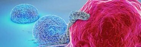 rushmorealum Profile Banner