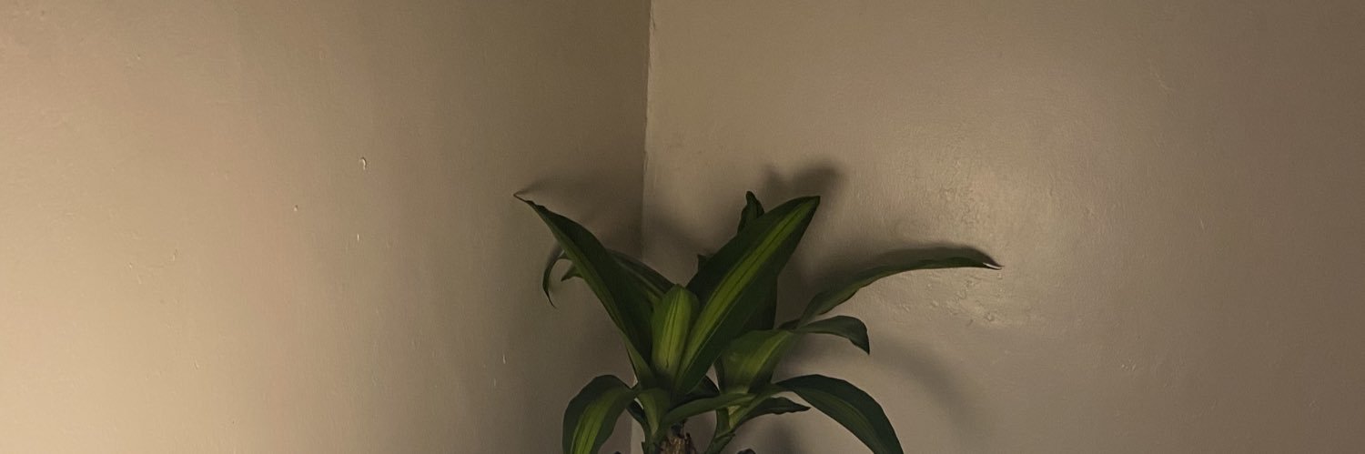 _xxinso's profile banner image