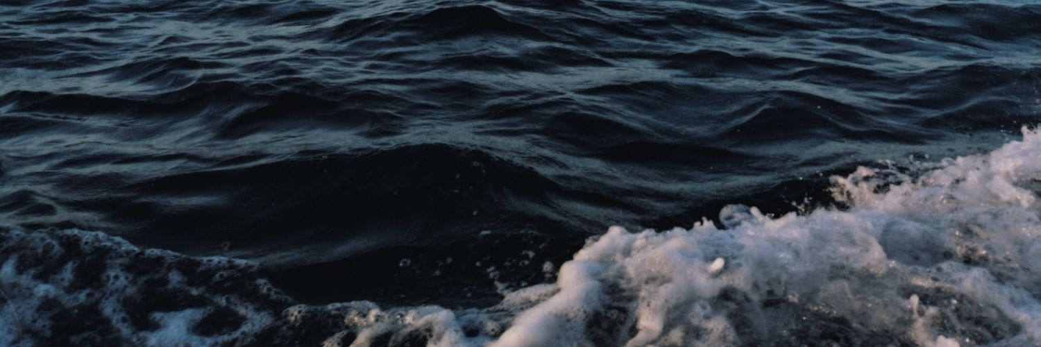 arleejam_'s profile banner image