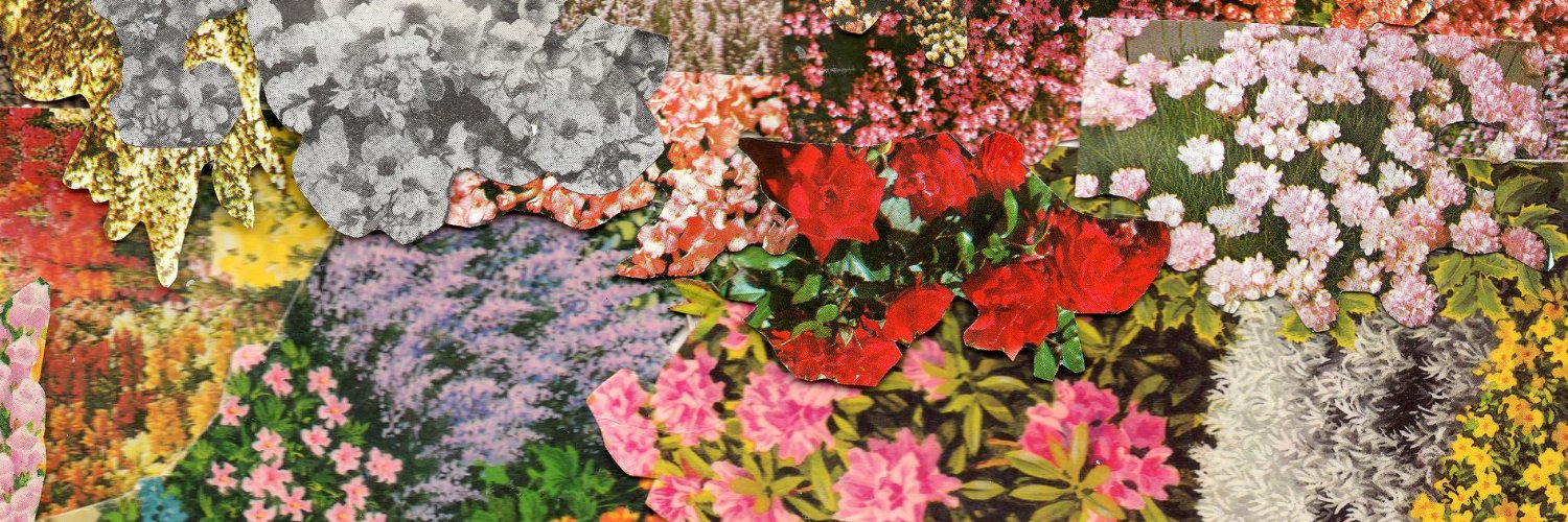 ahlaynuh's profile banner image