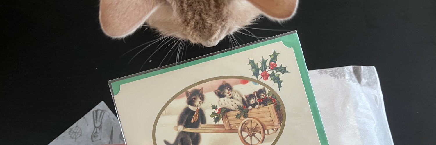 B .·⋆(⌒_⌒)⋆·. banner