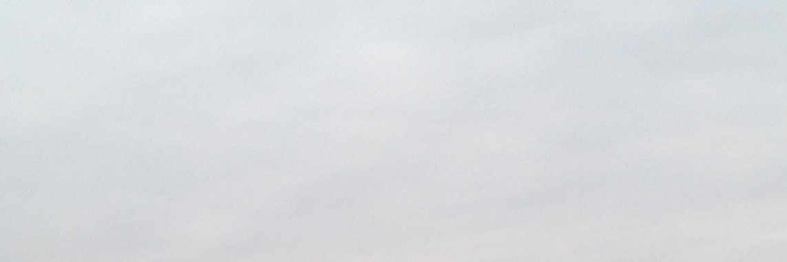 dlenenjsb's profile banner image