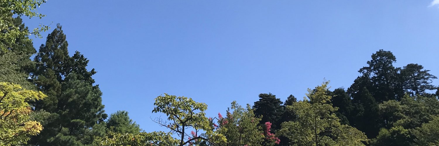 kakaka_destroy's profile banner image