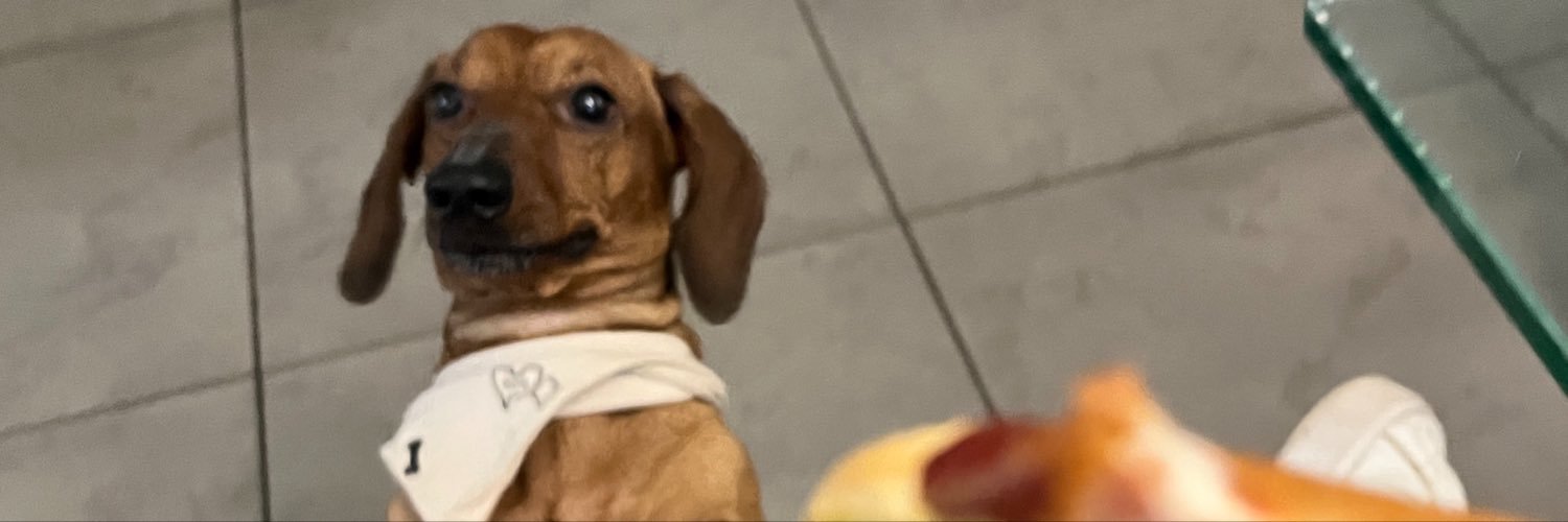 aleamarillas's profile banner image