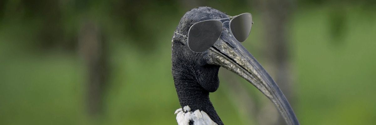 AndyyyAnderson's profile banner image