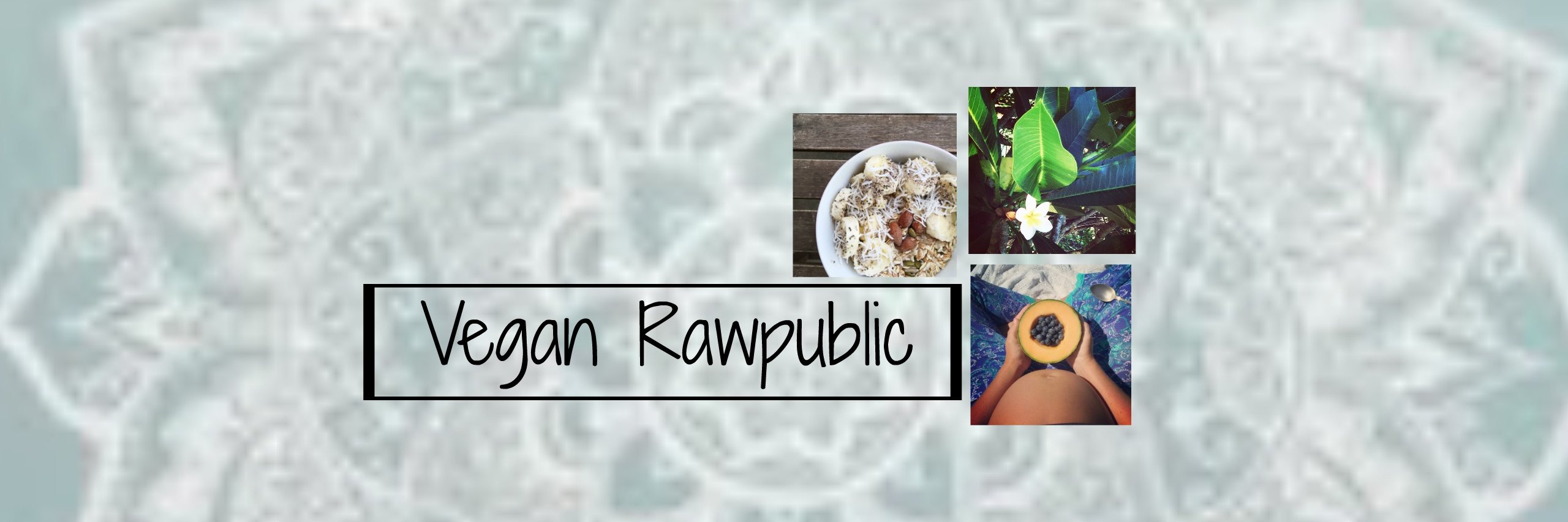 veganrawpublic's profile banner image