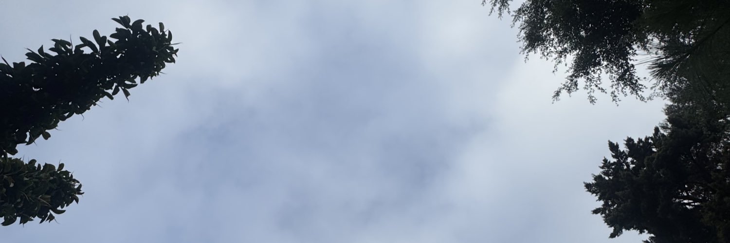 Daniel Ross banner