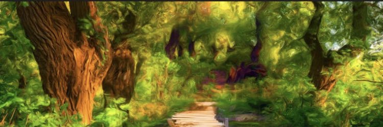 MBMT_o's profile banner image