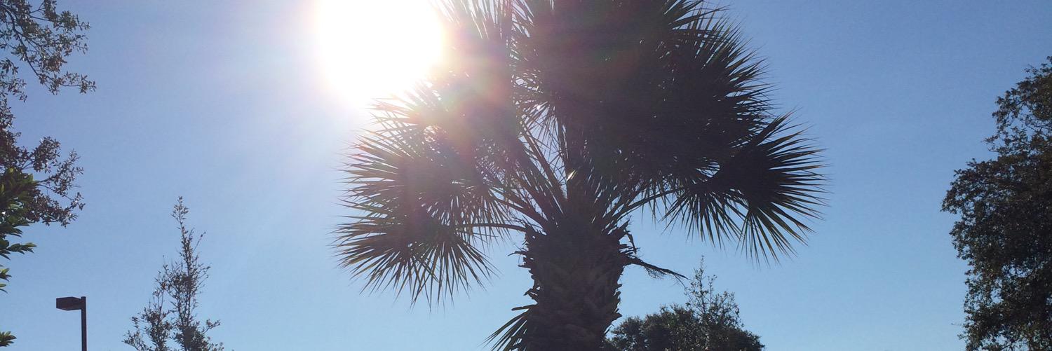 AlyssaRae1994's profile banner image