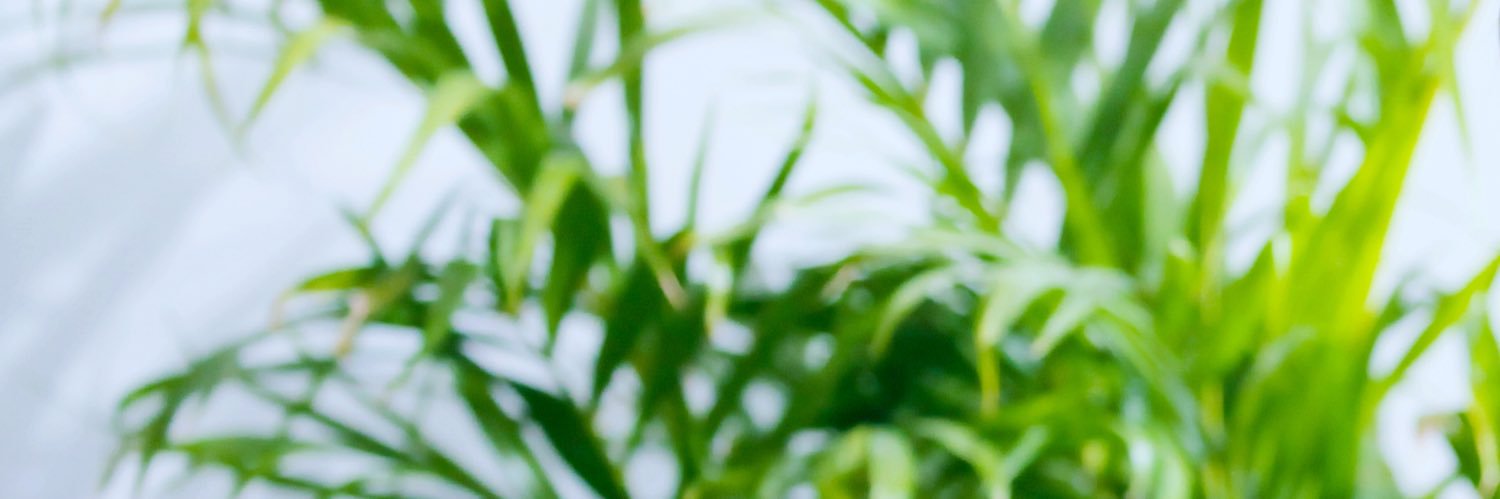 m__tuuu's profile banner image