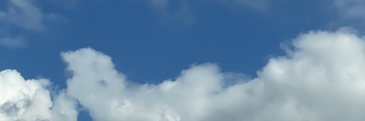 SaraAlrashed's profile banner image