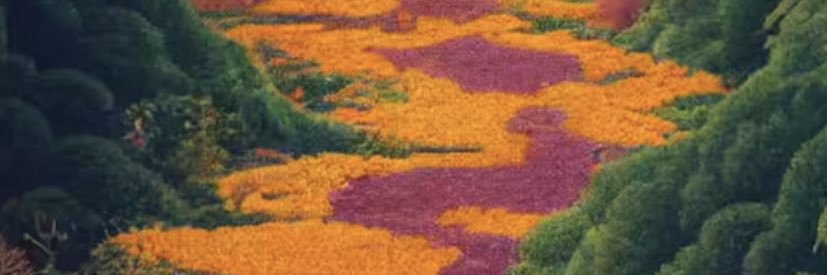 madixeliana's profile banner image