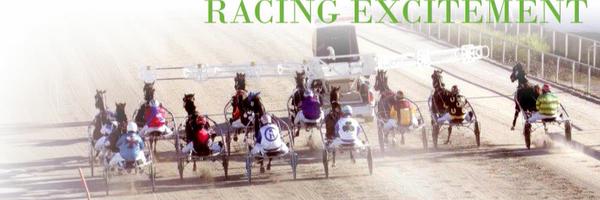 Shepphrc Profile Banner