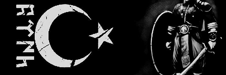 aputiii's profile banner image